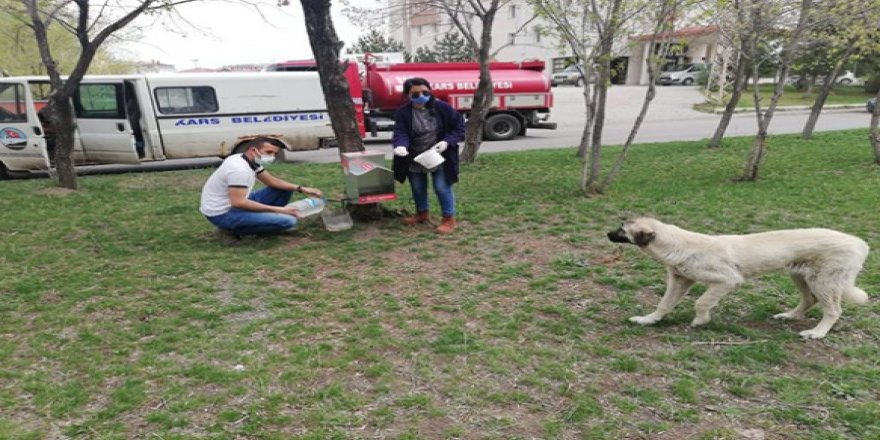 Kars Belediyesi kısıtlamada can Dostları unutmadı