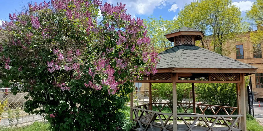 Leylaklar, Kars'ı renklendirdi