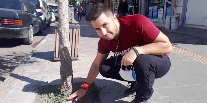 Kars’ta kaldırımda biten mantar ilgi odağı oldu