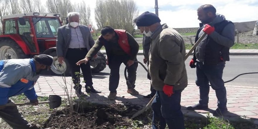 Arpaçay’da fidan dikimi sürüyor