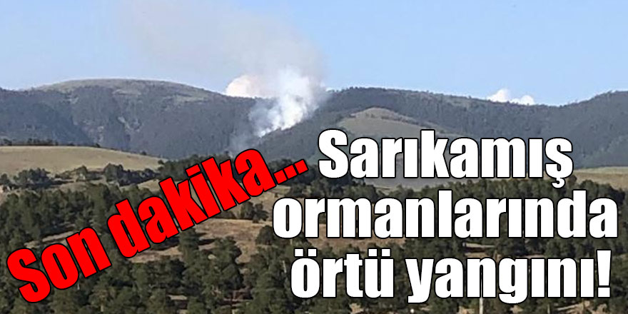 Son dakika... Sarıkamış ormanlarında örtü yangını!