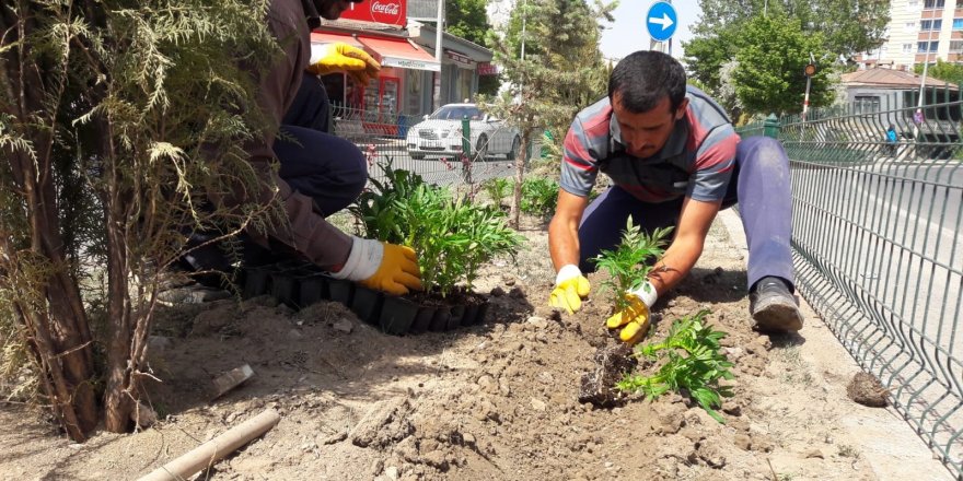 Daha Yeşil Bir Kars İçin Çalışmalar Sürüyor