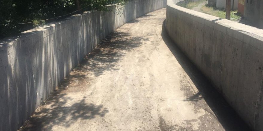 Kars’ta Bülbül Deresi’nin çöpleri temizleniyor