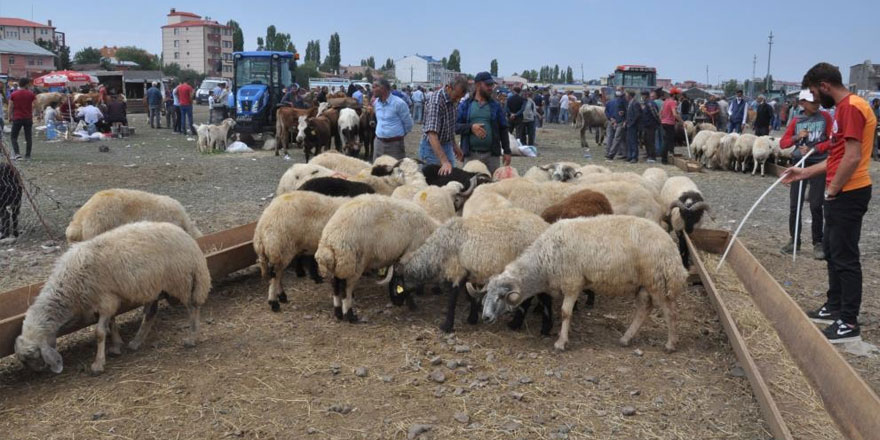 Kars’ta Kurban Pazarı’nda son gün yoğunluğu