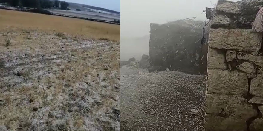 Sağanak yağış ve dolu ekili alanlara zarar verdi
