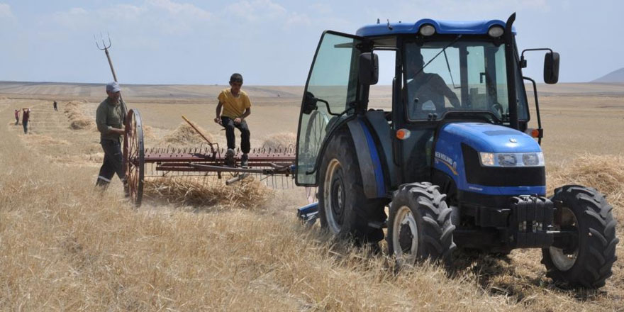 Kuraklığın vurduğu Kars’ta çiftçilerin hasat mesaisi başladı