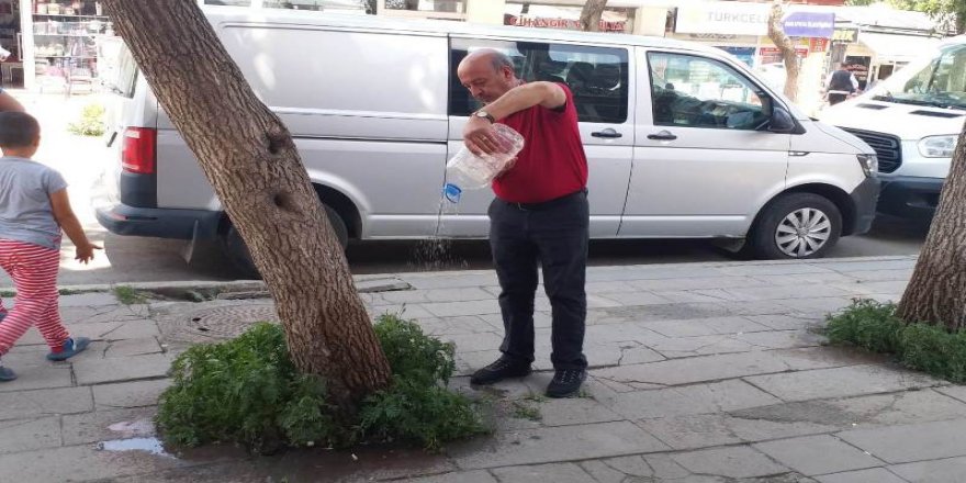 Kars'ın ağaç sulayan adamı : Hasan Sinik