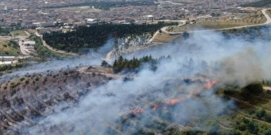 Azerbaycan Diaspora ile İş üzere Devlet Komitesi'nde “yardım hattı” oluşturuldu