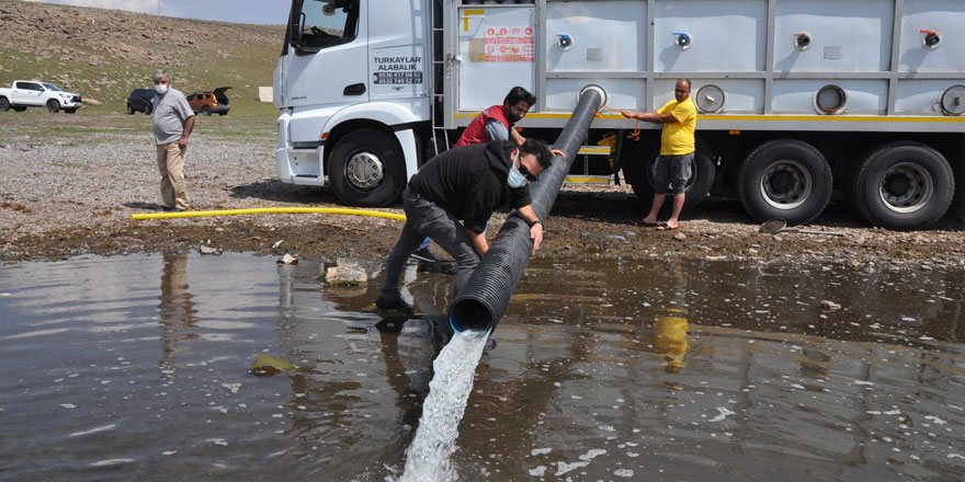 Elazığ’dan Kars’a 2 milyon sazan yavrusu geldi!