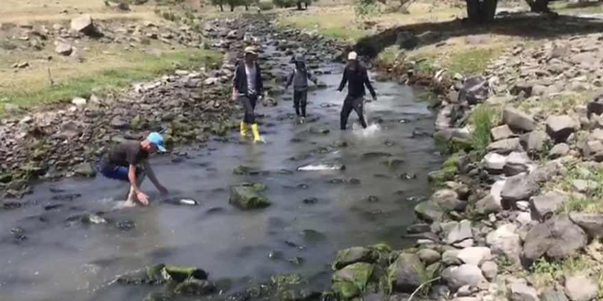 Kars’ta balık tutmak için dereye koştular