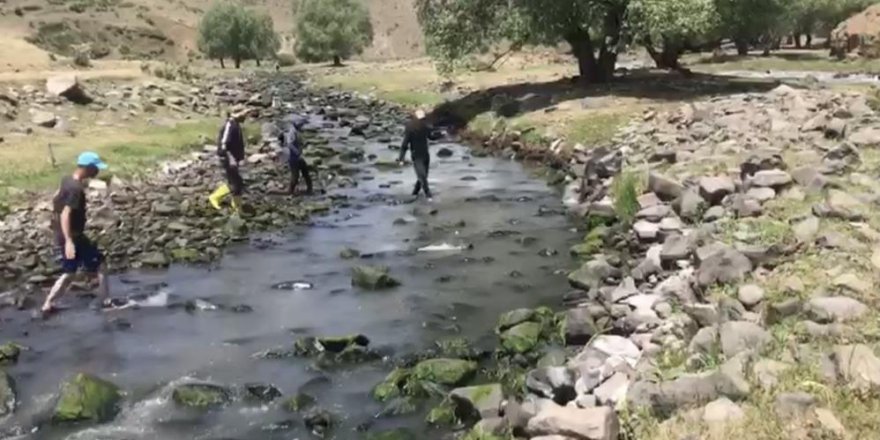 Kars’ta balık tutmak için dereye koştular