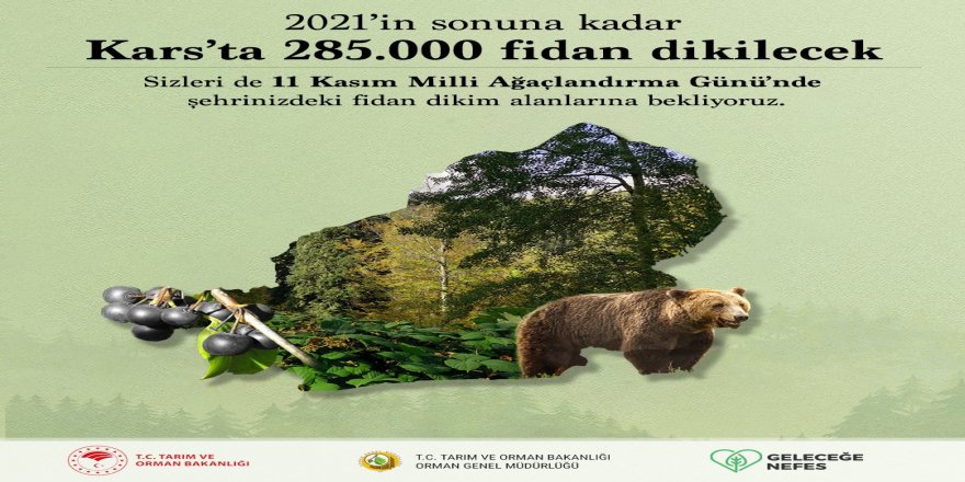2021’in sonuna kadar Kars’ta 285 bin fidan dikilecek