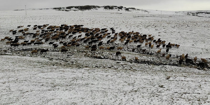Kars’a mevsimin ilk karı yağdı, çobanlar hazırlıksız yakalandı