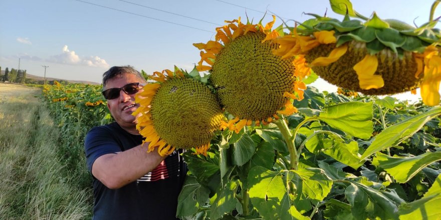 Zeki Demiral, çiftçilere alternatif ürünlerin gerçekleşebileceğini gösterdi