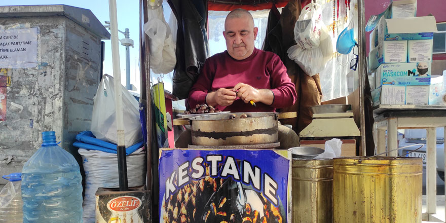 Kars’ta “kuzu kestanesi” görücüye çıktı