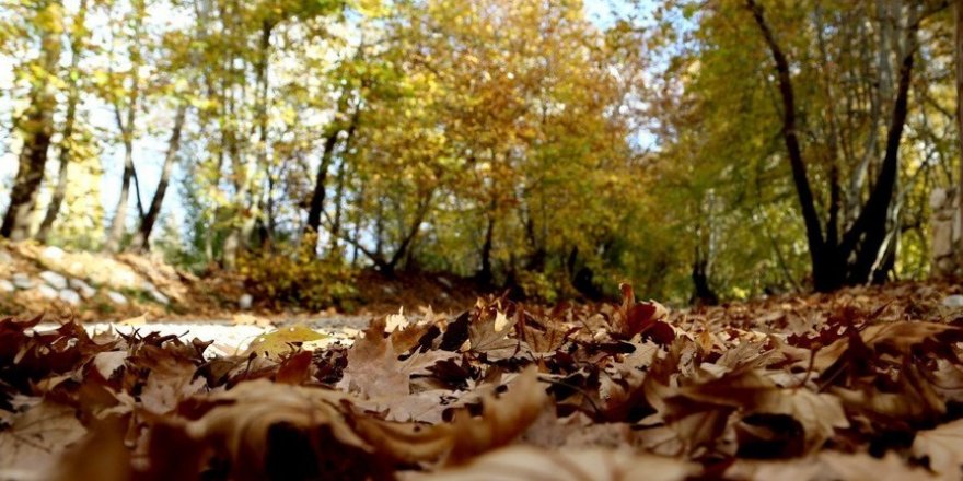 Doğu Anadolu’da mevsim normallerine göre sıcaklık artarken Çarşamba kar geliyor