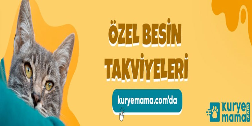 ND Yavru Kedi ve Köpek Mamalarını Kuryemama’da İndirimli Ucuz Alabilirsiniz