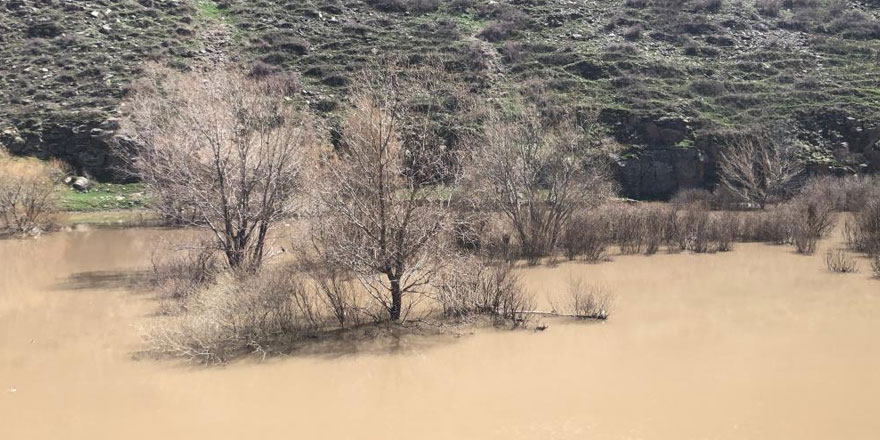 Kars’ta ağaçlar baraj suyu altında kaldı