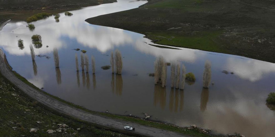 Kars’ta sular altında kalan ağaçlar havadan görüntülendi