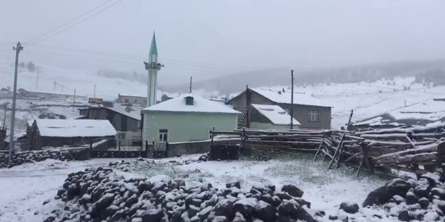 Mayıs karı her yeri beyaza bürüdü