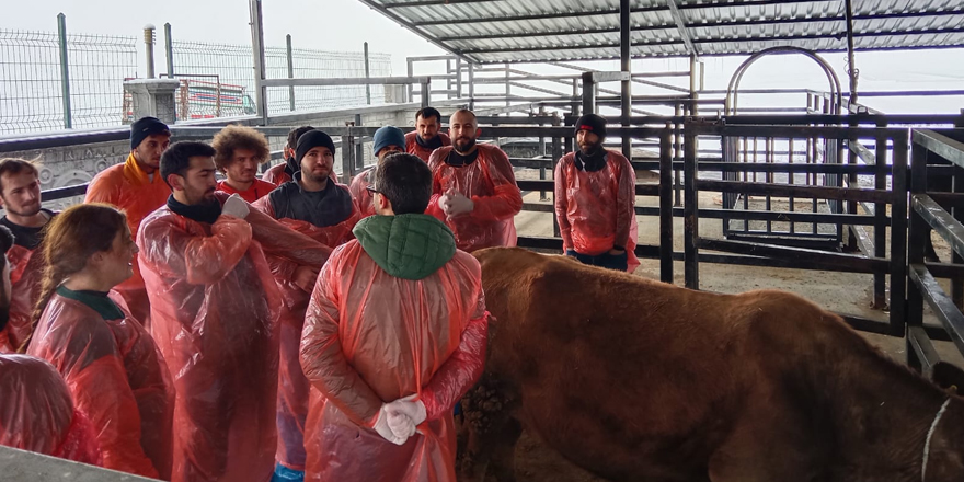 Kars Bölgesi VHO’nun Bakanlık onaylı suni tohumlama kursu başladı