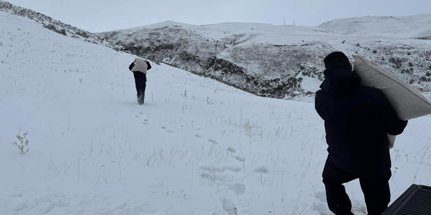 Kars’ta yaban hayvanları için doğa yem bırakıldı