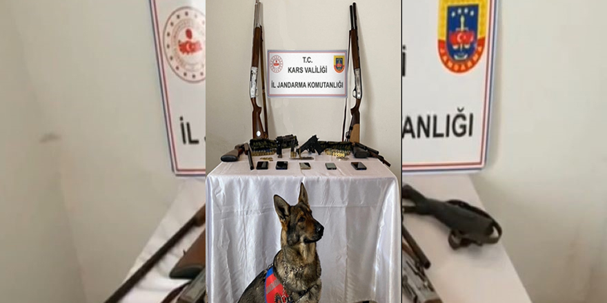 Kars'ta ruhsatsız 6 silah ele geçirildi: 8 gözaltı