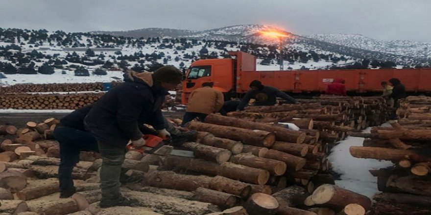 Kars’tan deprem bölgelerine yakacak odun gönderildi
