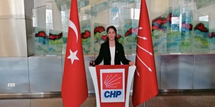 Serap Koçer, CHP’den Kars Milletvekili A. Adayı