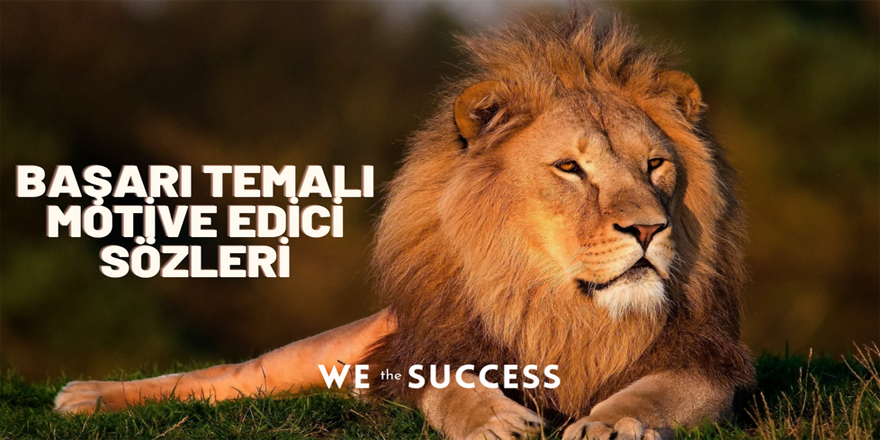 We The Success Sayesinde Motivasyon Kaynağı Oluşturmak