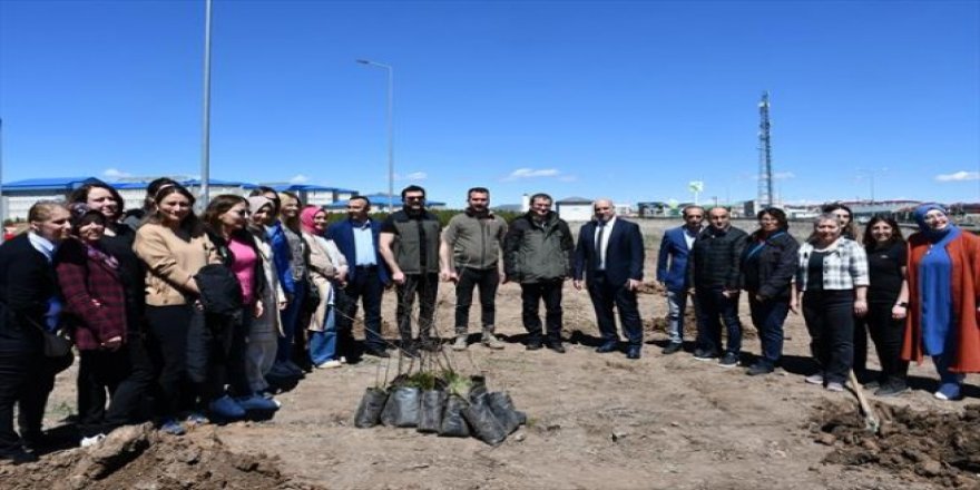 Kafkas Üniversitesi'nde fidan dikimi yapıldı