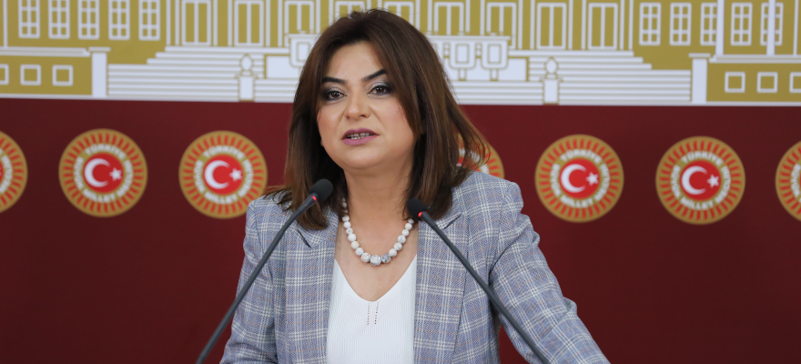 Milletvekili Koçyiğit, Ardahan ve Kars'taki şap hastalığı için soru önergesi verdi
