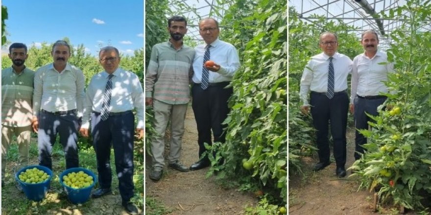 Bölgenin Sebze ve Meyve Deposu Kağızman'da Yüzler Gülüyor