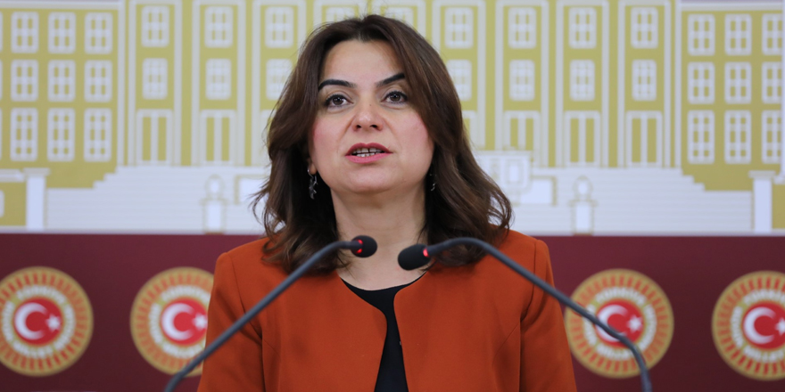 Koçyiğit, sağlıkçıların sorunlarını TBMM’ye taşıdı