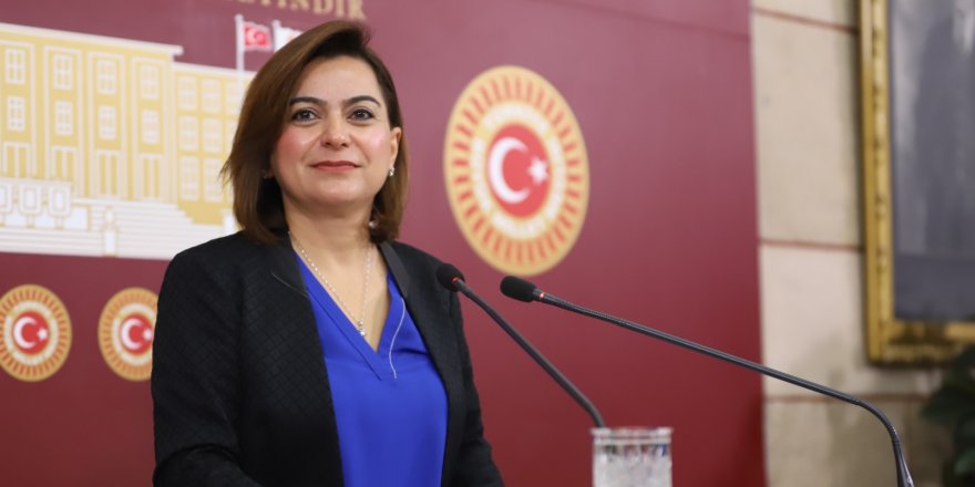 DEM Parti Kars Milletvekili Gülistan Kılıç Koçyiğit: "Karslılar 'Kars'ın sahibi yok!' diyorlar ve maalesef haklılar!"