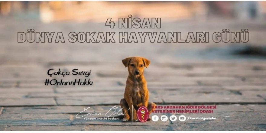 "Dünya Sokak Hayvanları Günü"