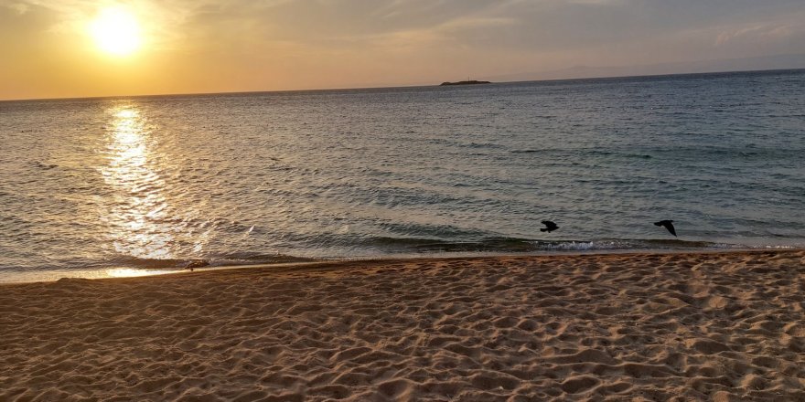 İstanbul’a 4 Saat Mesafede Tatil Beldesi Avşa Adası... Yaz Aylarında Herkes Buraya Geliyor!