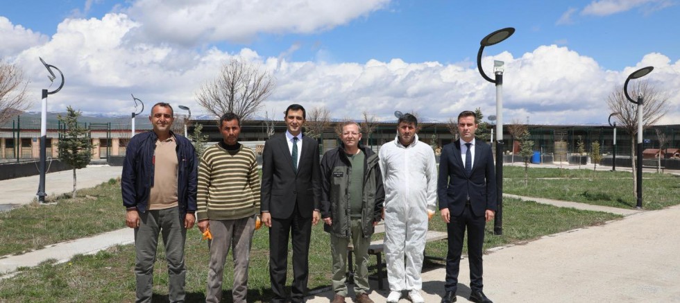 Vali Ziya Polat, Hayvan Bakımevi'nde incelemelerde bulundu