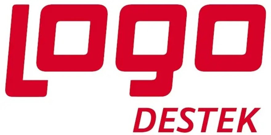 Büyüyen İşletmelere Akıllı Destek: Logo ERP Destek Hizmetleriyle Güçlenin