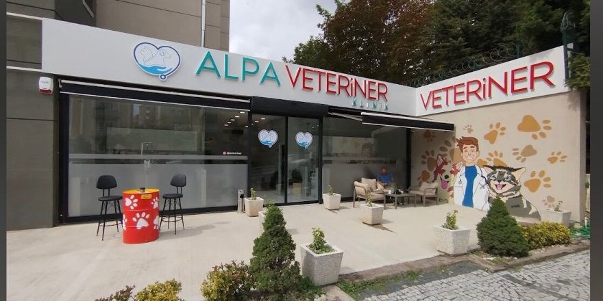 Kartal Veteriner Hizmetleri: Sevimli Dostlarınıza Güvenilir Dokunuş