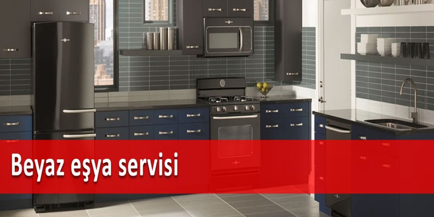 Buzdolabı Çok Gürültülü Çalışıyor
