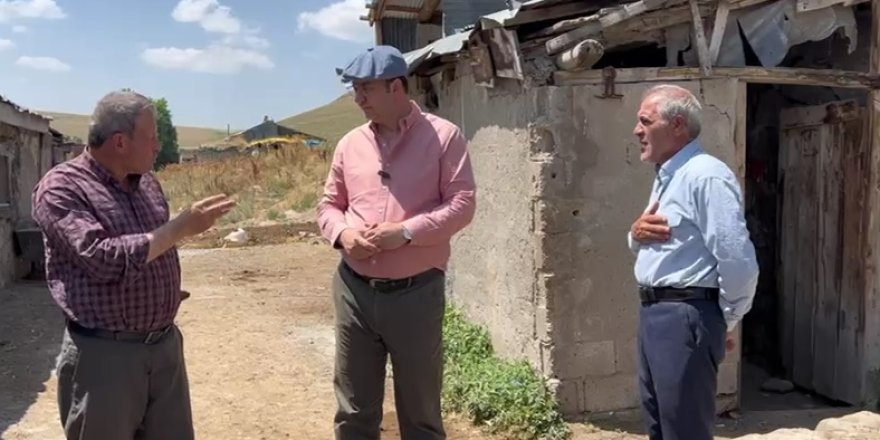 Milletvekili Alp'ten şap vurgusu