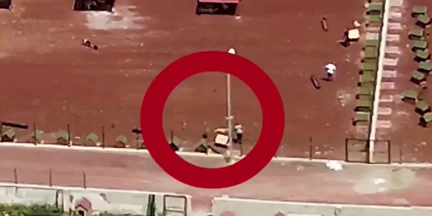 Hayvan barınağındaki olaya soruşturma açıldı