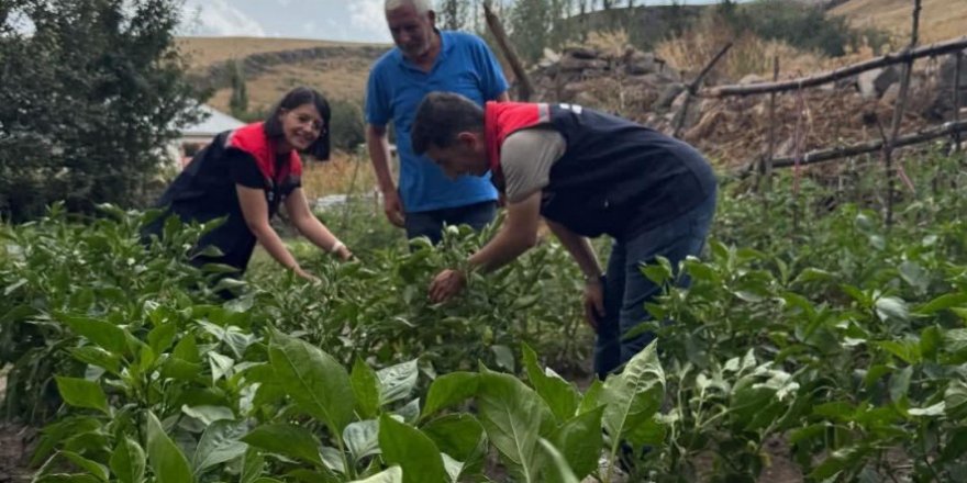 Kars’ta Sebze Fidesi Dağıtımı Projesi Meyvelerini Veriyor
