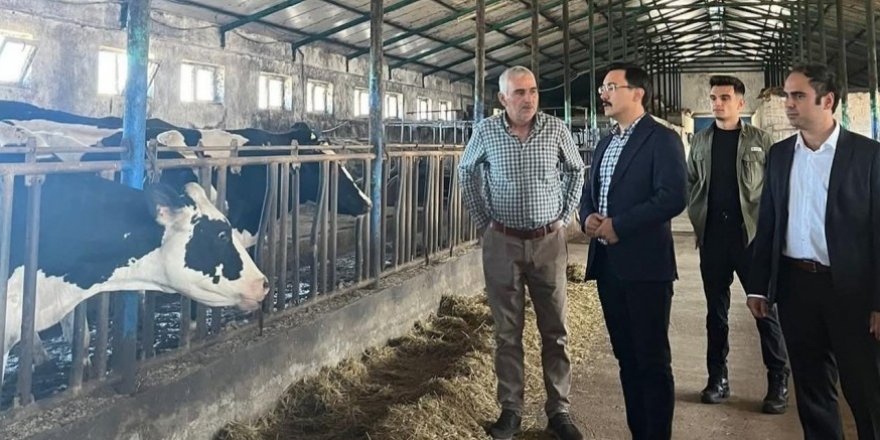 Kaymakam İsmail Demirtaş’tan Hayvan İşletmesine Ziyaret
