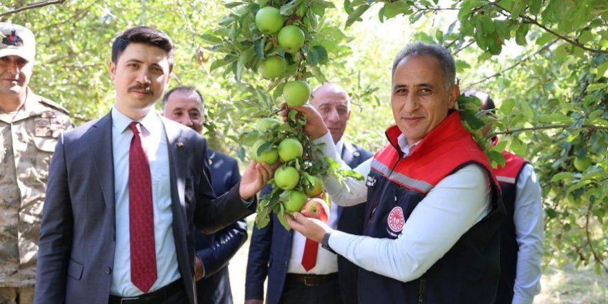 Digor Halıkışlak’ta Elma Hasadı Coşkusu