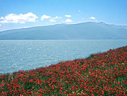 Çıldır Gölü Gündemde