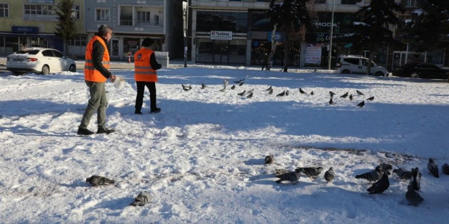Kars Belediyesi Kanatlı Dostları Unutmadı