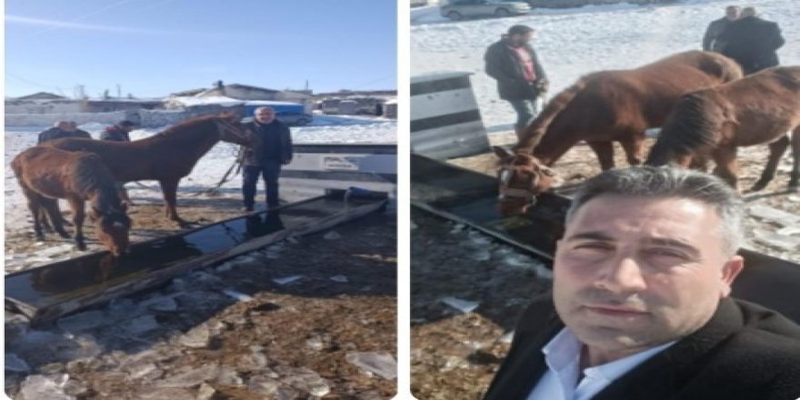 Bir Asırlık Hasretin Vuslatı: Sarıkamış Gülantep’te "Şorpınar" Mucizesi