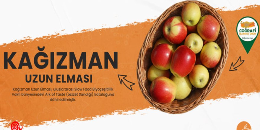 Kars’ın kadim elması uluslararası koruma altına alındı